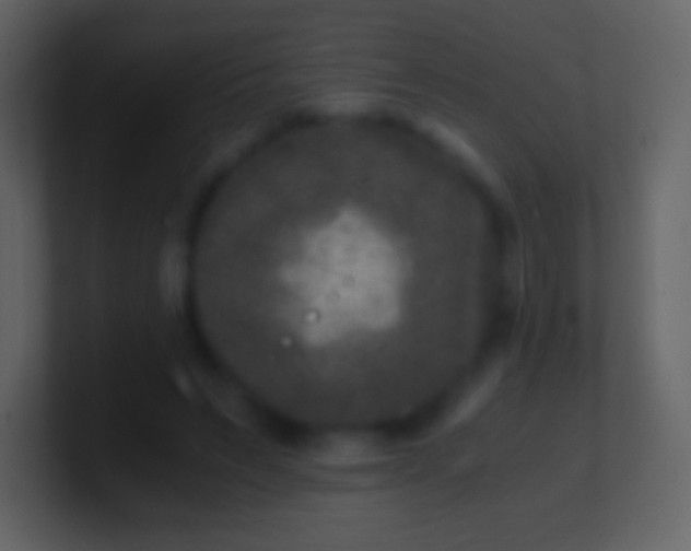 X0000100940495200807081238