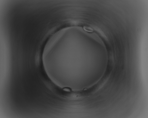 X0000100940496200807081238