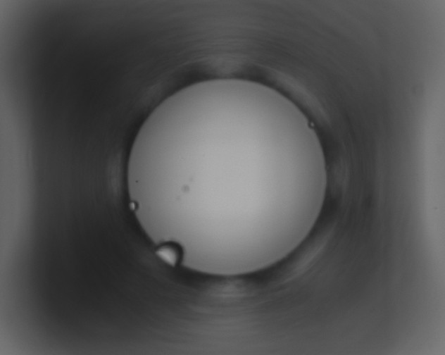 X0000100940497200807081238