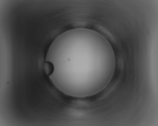 X0000100940498200807081238