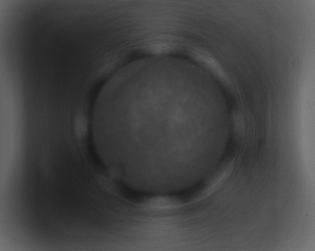 X0000100940499200807081238