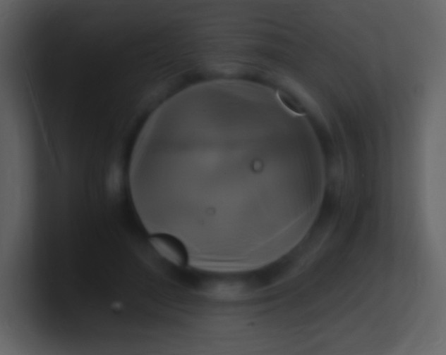 X0000100940500200807081238