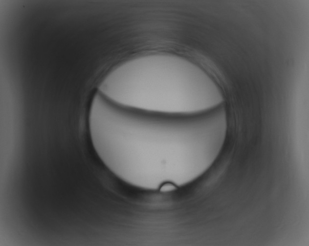 X0000100940501200807081238