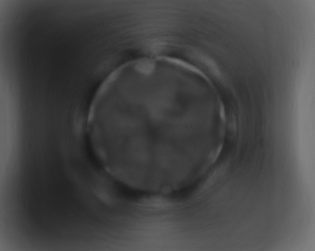 X0000100940503200807081238