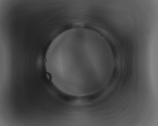 X0000100940504200807081238