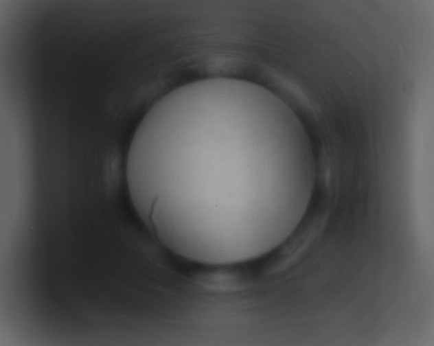 X0000100940506200807081238