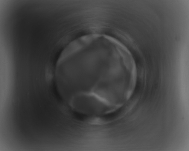 X0000100940507200807081238