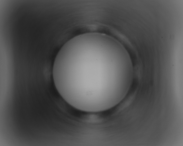 X0000100940509200807081237