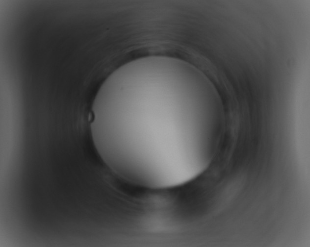 X0000100940510200807081237