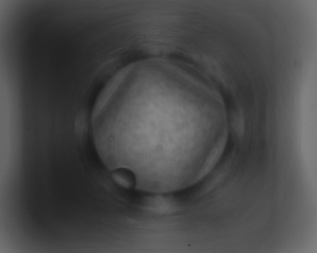 X0000100940511200807081237