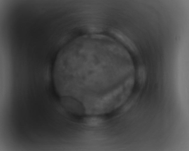 X0000100940512200807081237