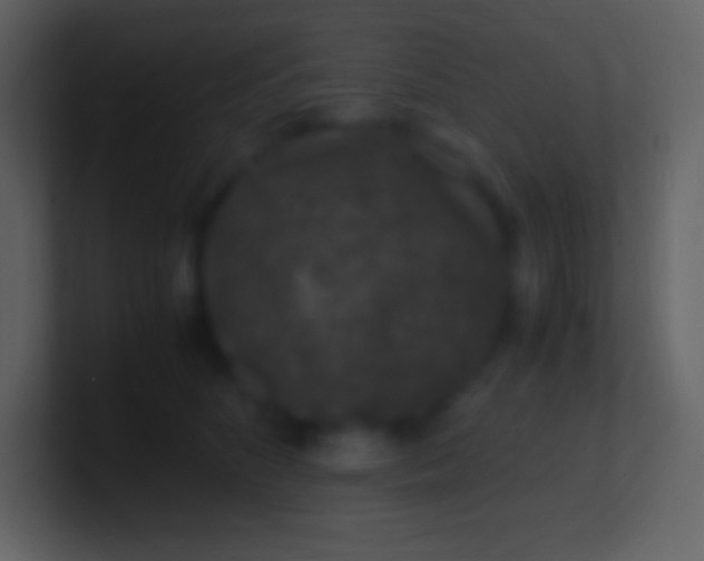 X0000100940516200807081237