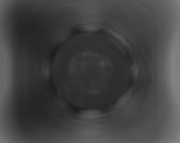 X0000100940517200807081237