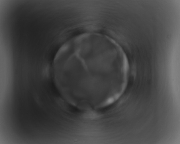 X0000100940519200807081237