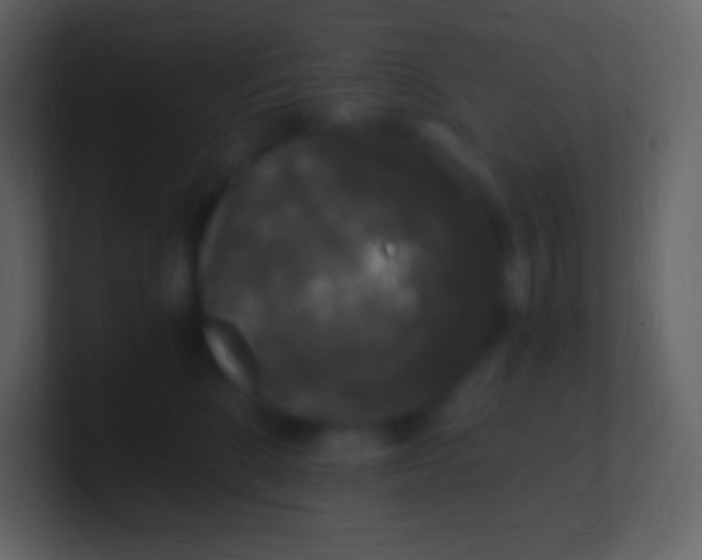 X0000100940520200807081237