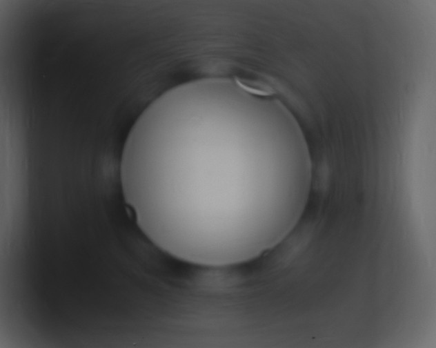 X0000100940521200807081237