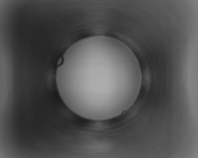 X0000100940522200807081237