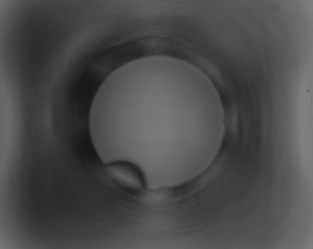 X0000100940526200807081237