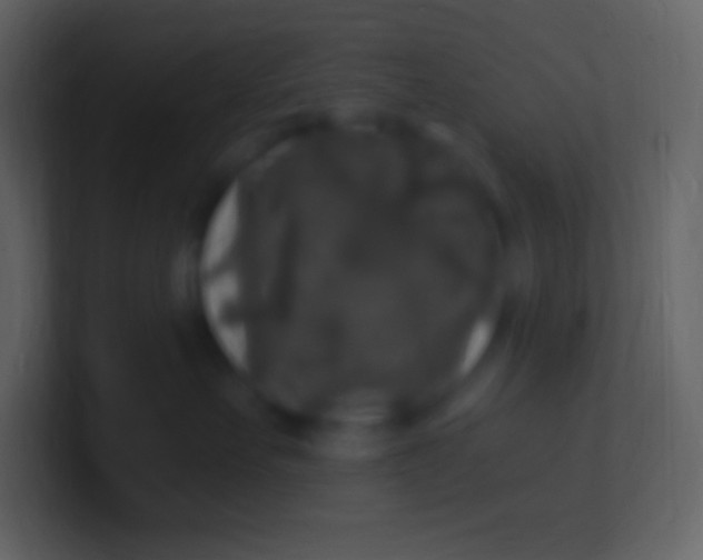 X0000100940527200807081237