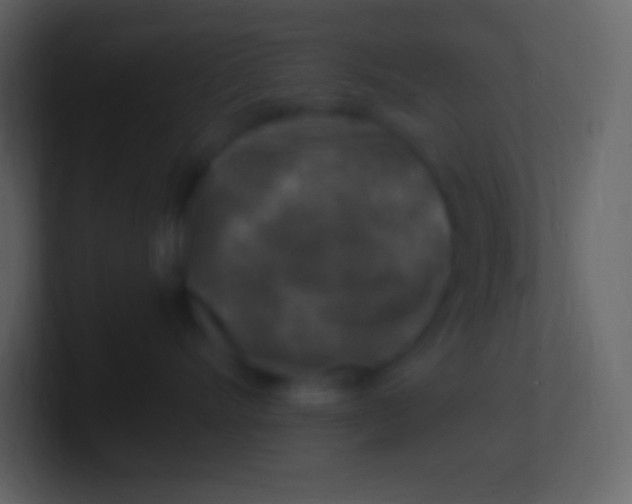 X0000100940528200807081237