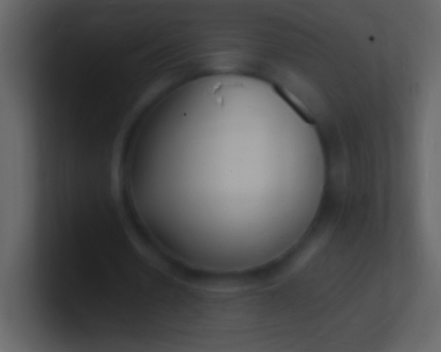 X0000100940530200807081237