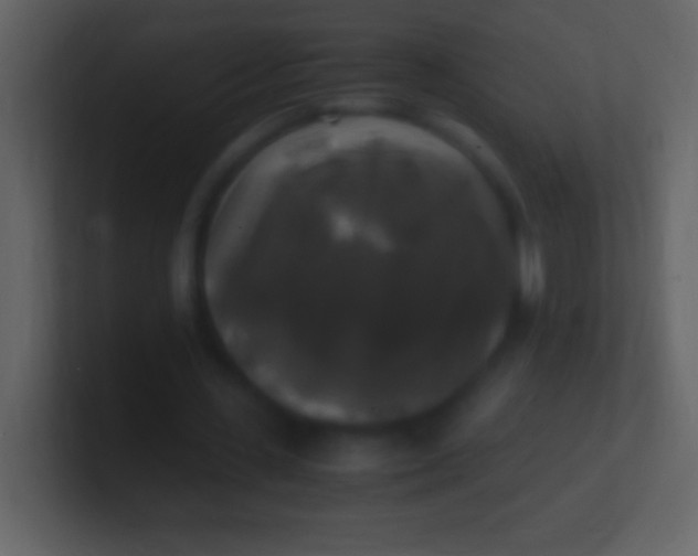 X0000100940531200807081237