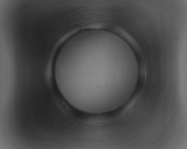 X0000100940532200807081237