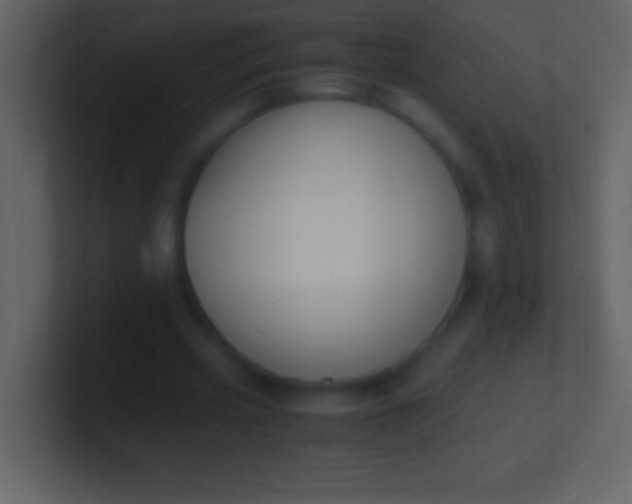 X0000100940533200807081237