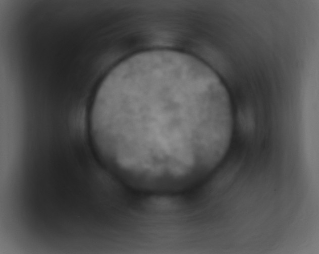 X0000100940534200807081237