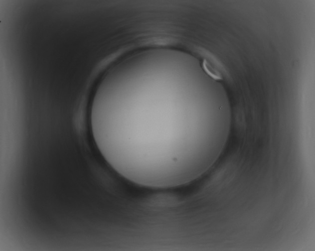 X0000100940536200807081237