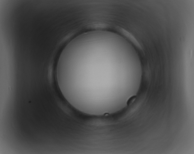 X0000100940538200807081237