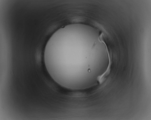 X0000100940539200807081237