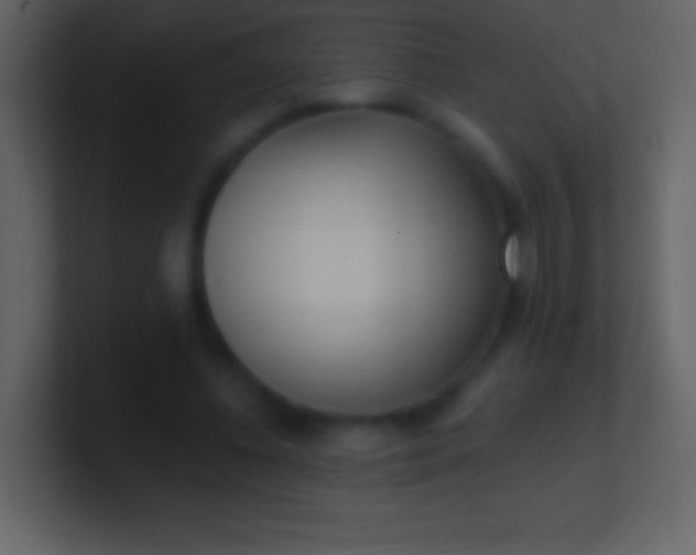 X0000100940540200807081237