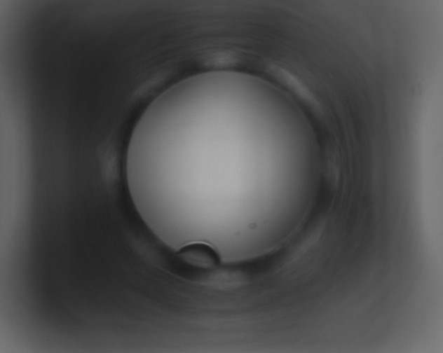 X0000100940543200807081237