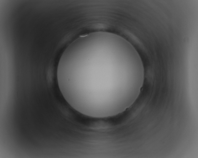 X0000100940544200807081237