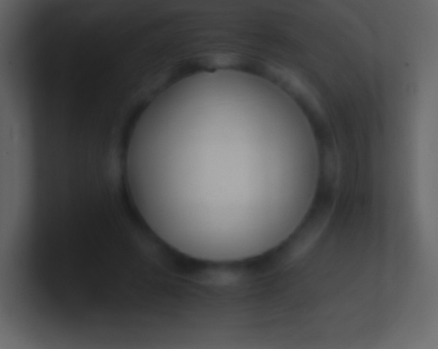 X0000100940545200807081237