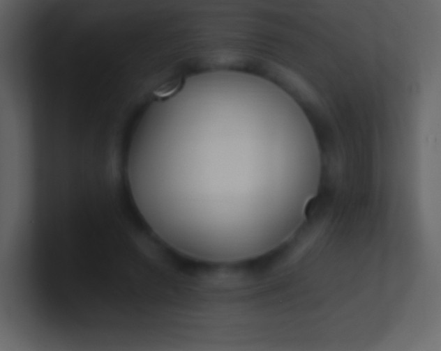 X0000100940546200807081237