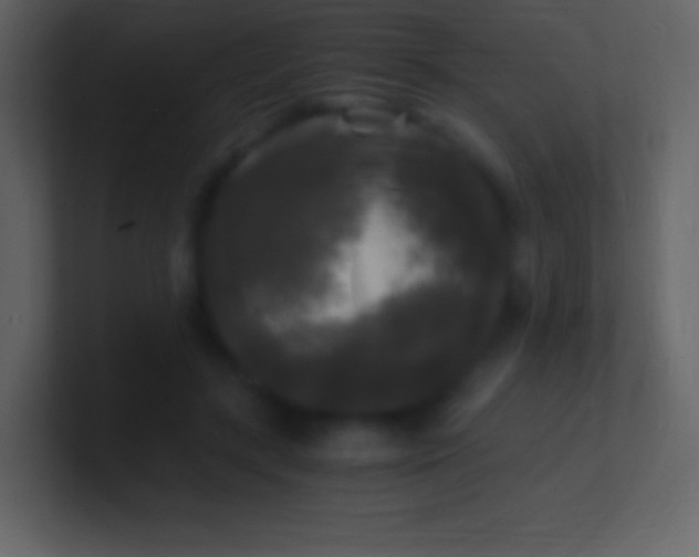 X0000100940547200807081237