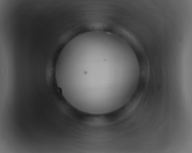 X0000100940548200807081237