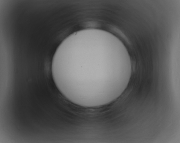 X0000100940549200807081237