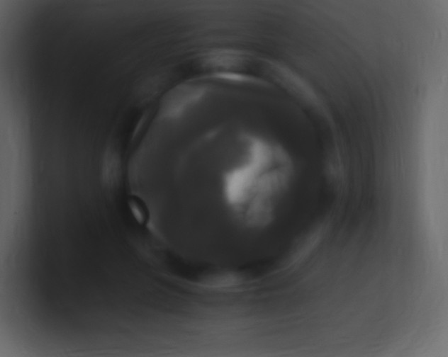 X0000100940551200807081237