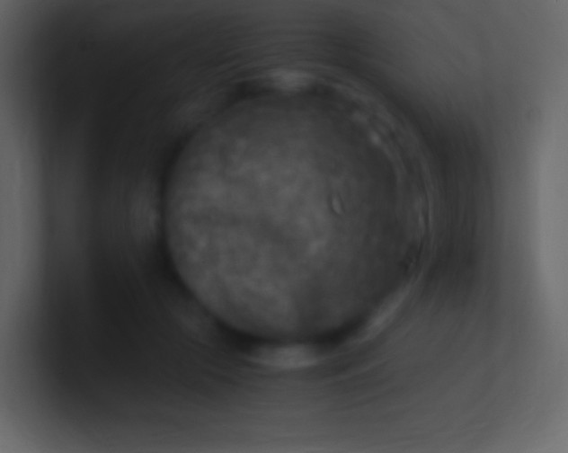 X0000100940553200807081237