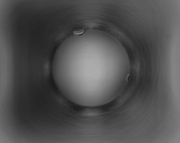 X0000100940556200807081237