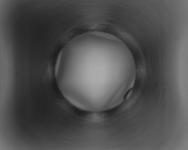 X0000100940558200807081237