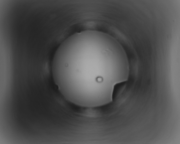 X0000100940562200807081237