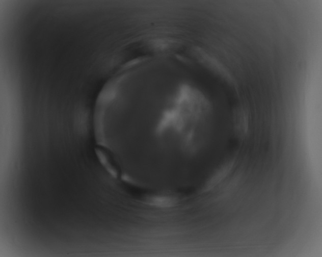 X0000100940563200807081237