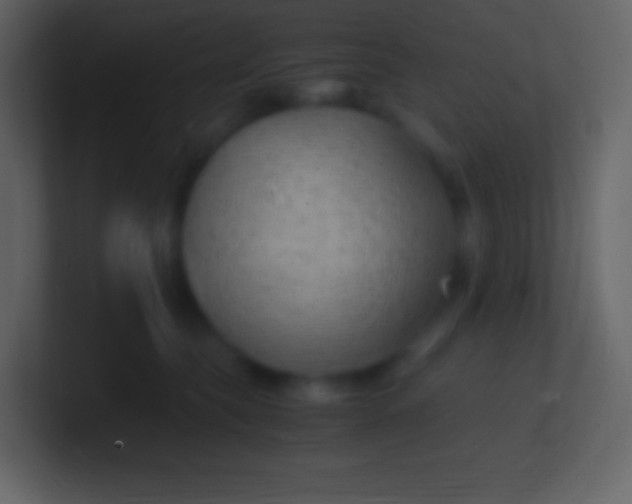 X0000100940565200807081237