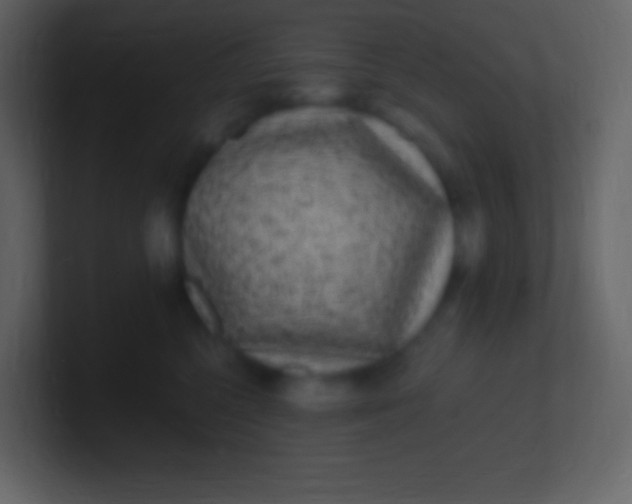 X0000100940568200807081237