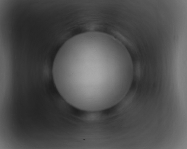 X0000100940569200807081237