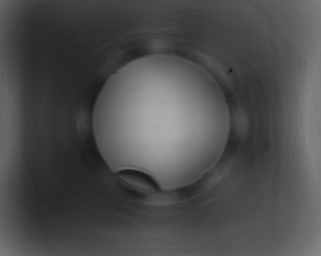 X0000100940571200807081237